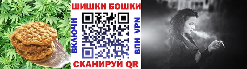Canna-Cookies марихуана  что такое   Татарск 