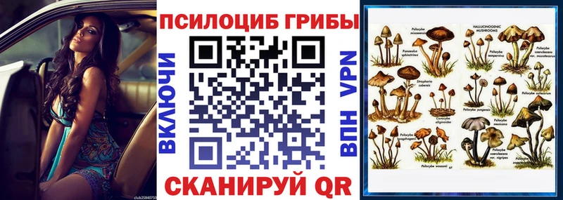 Псилоцибиновые грибы GOLDEN TEACHER  Татарск 