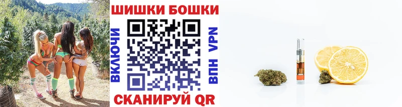 Бошки Шишки сатива Татарск
